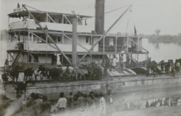 (Post)Colonial Cattle Frontiers